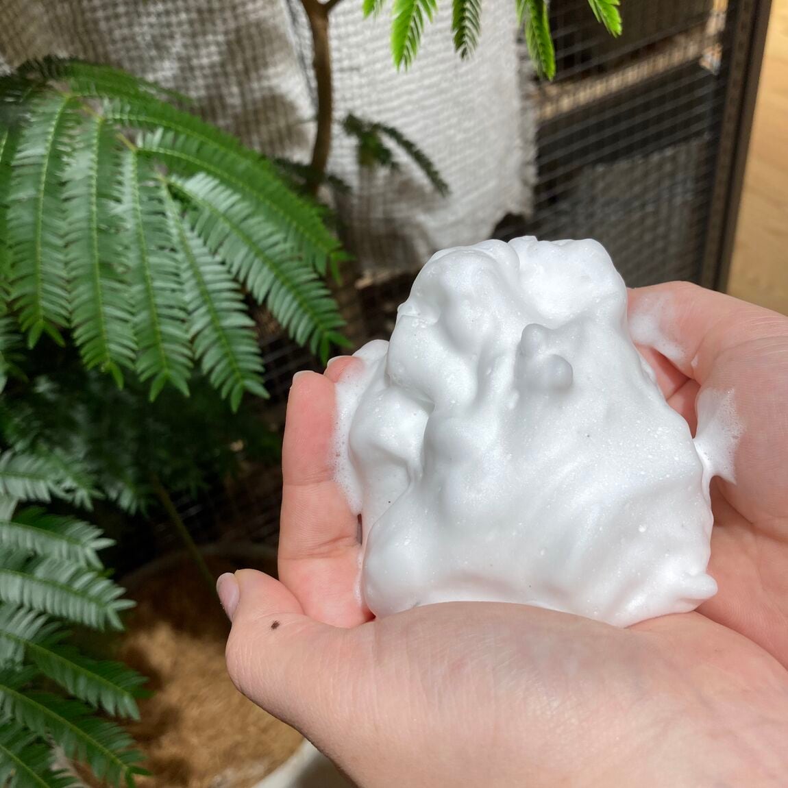 泡洗顔