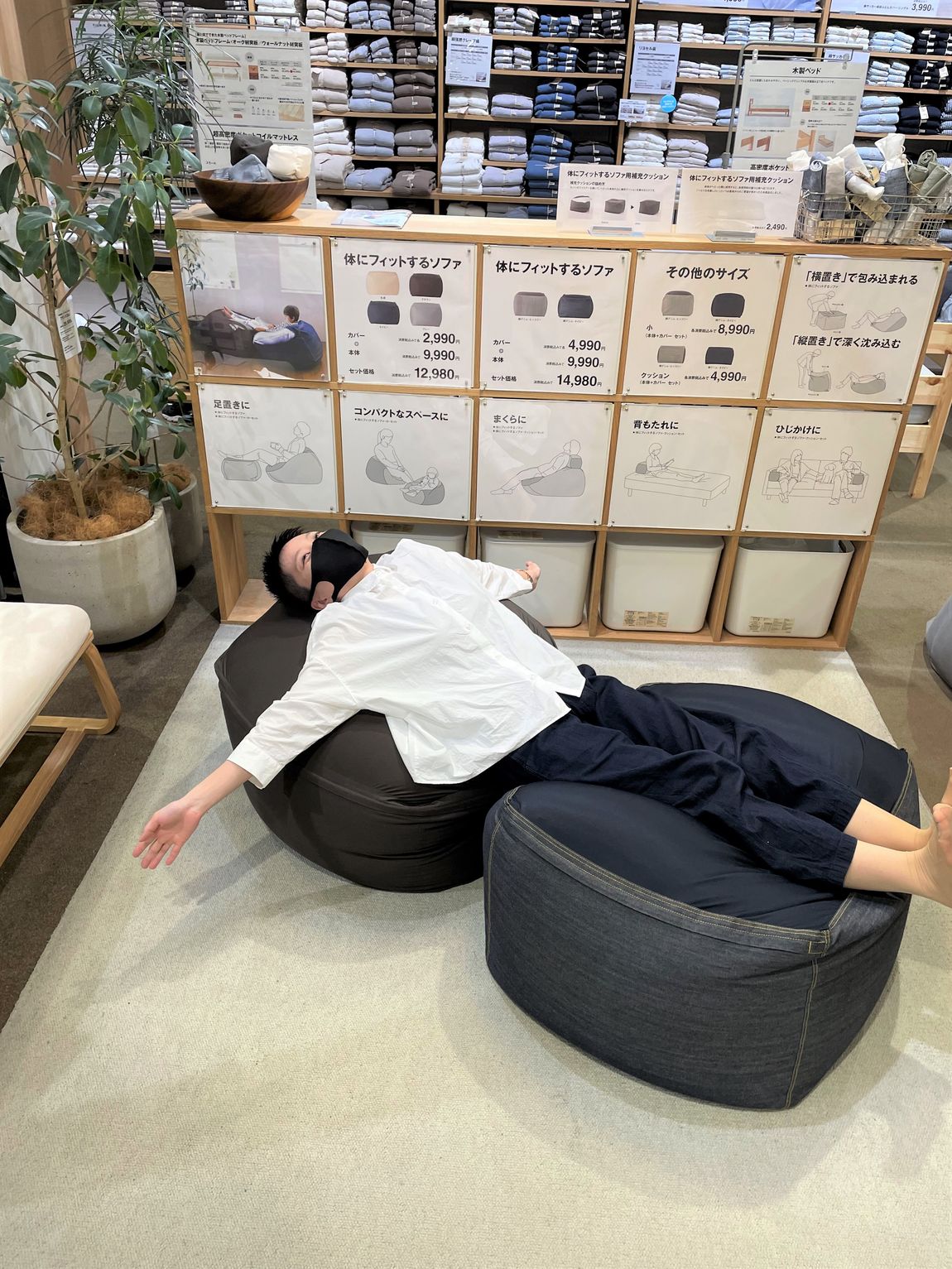 体フィット