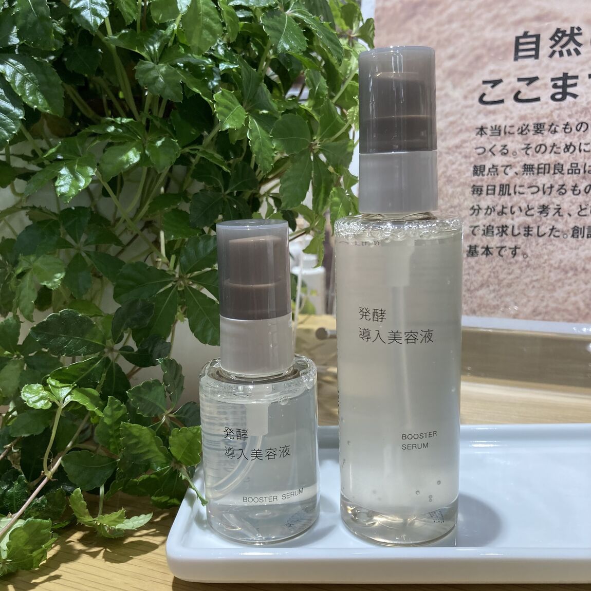【アル・プラザ草津】発酵導入シリーズ新商品