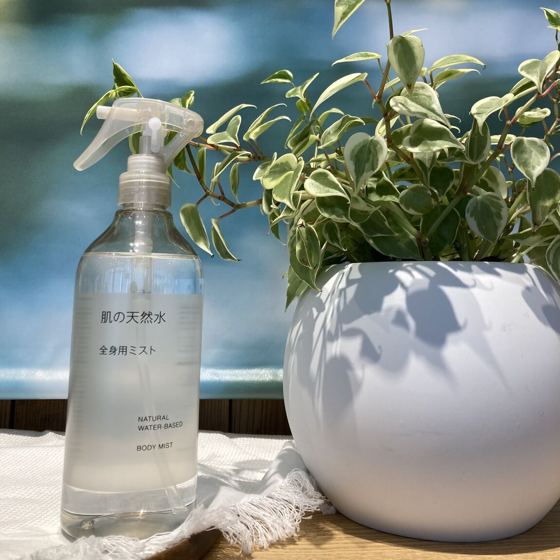 truoka2026.02.24.001