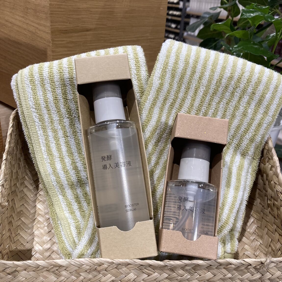 発酵導入シリーズ