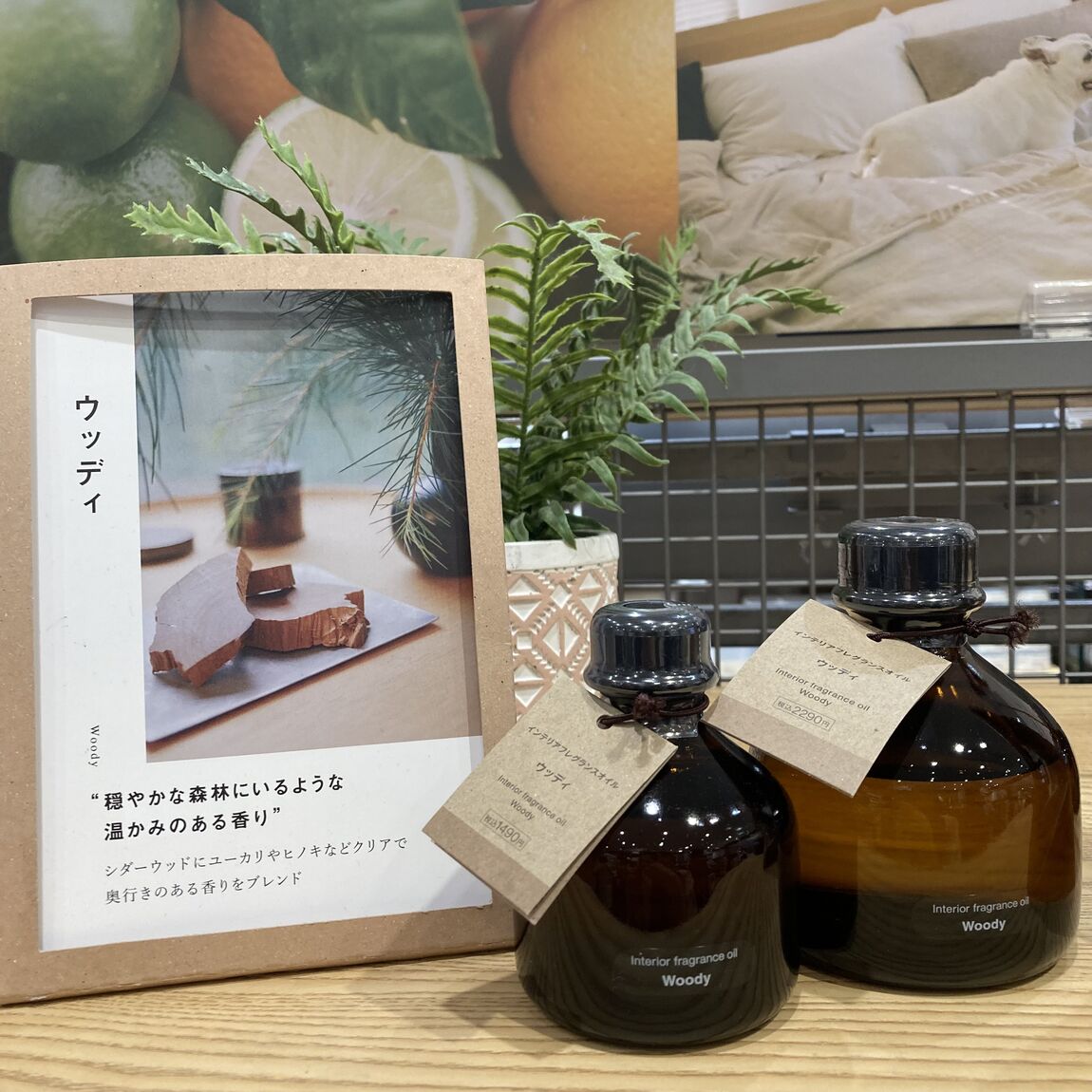 【イオンモール札幌発寒】【香り】フレグランスオイル_dC2rc9