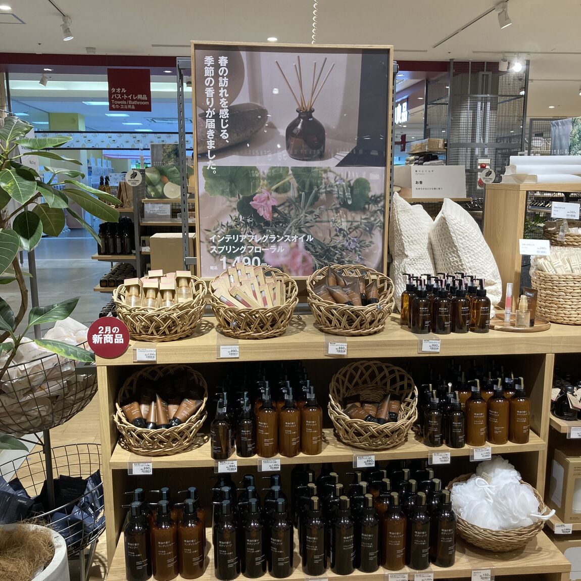 スタッフのおすすめ