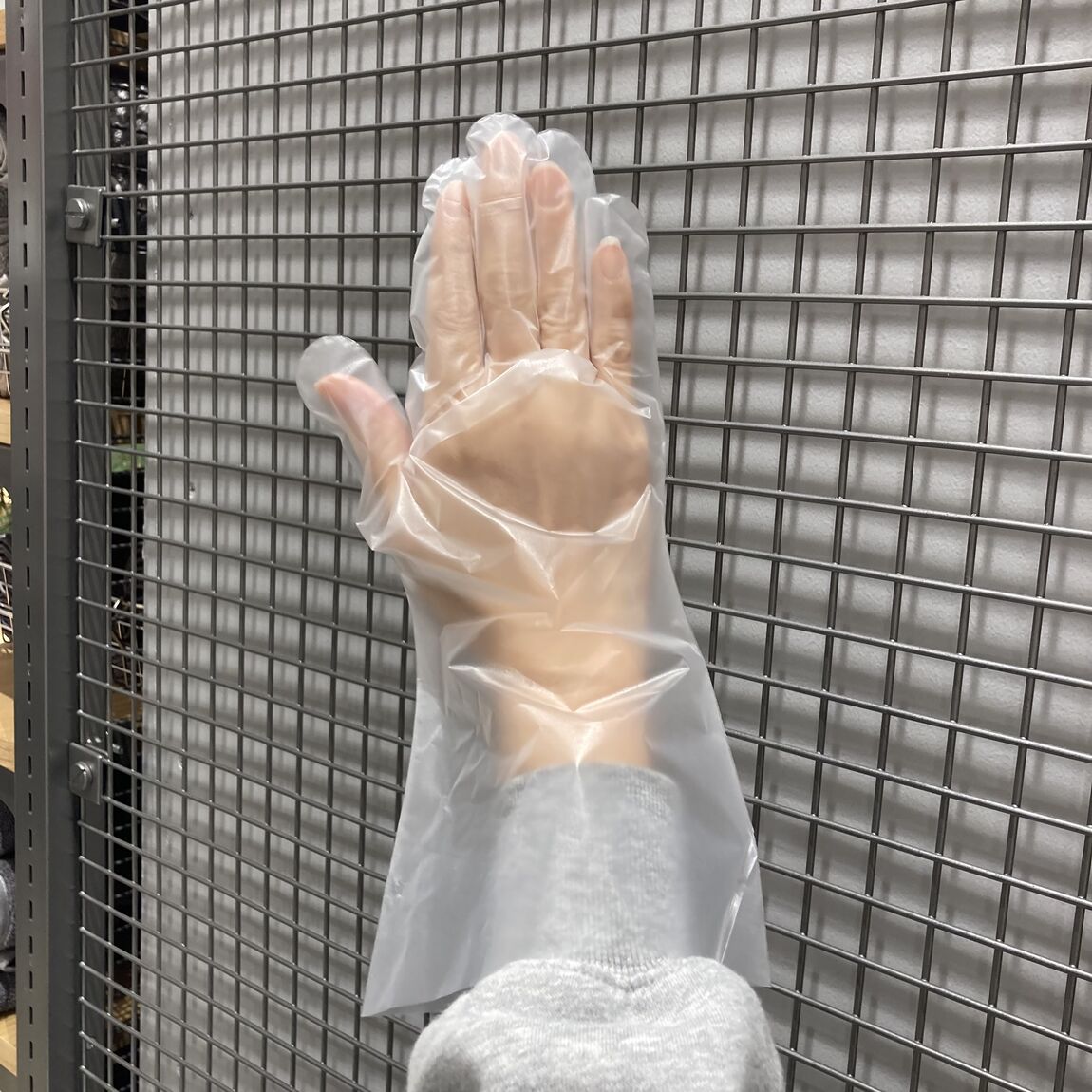 手袋を手にはめてる写真