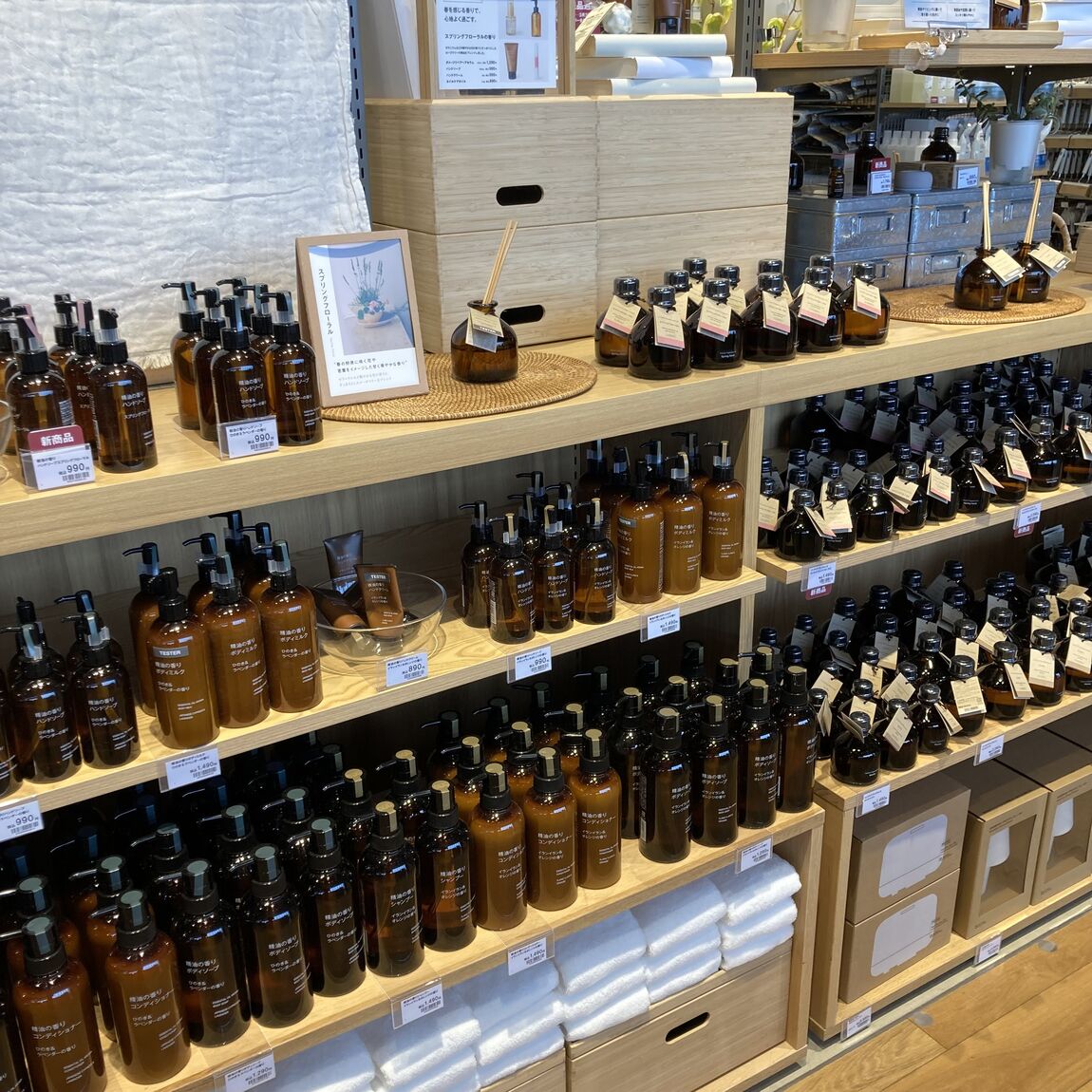 truoka2026.03.26.001