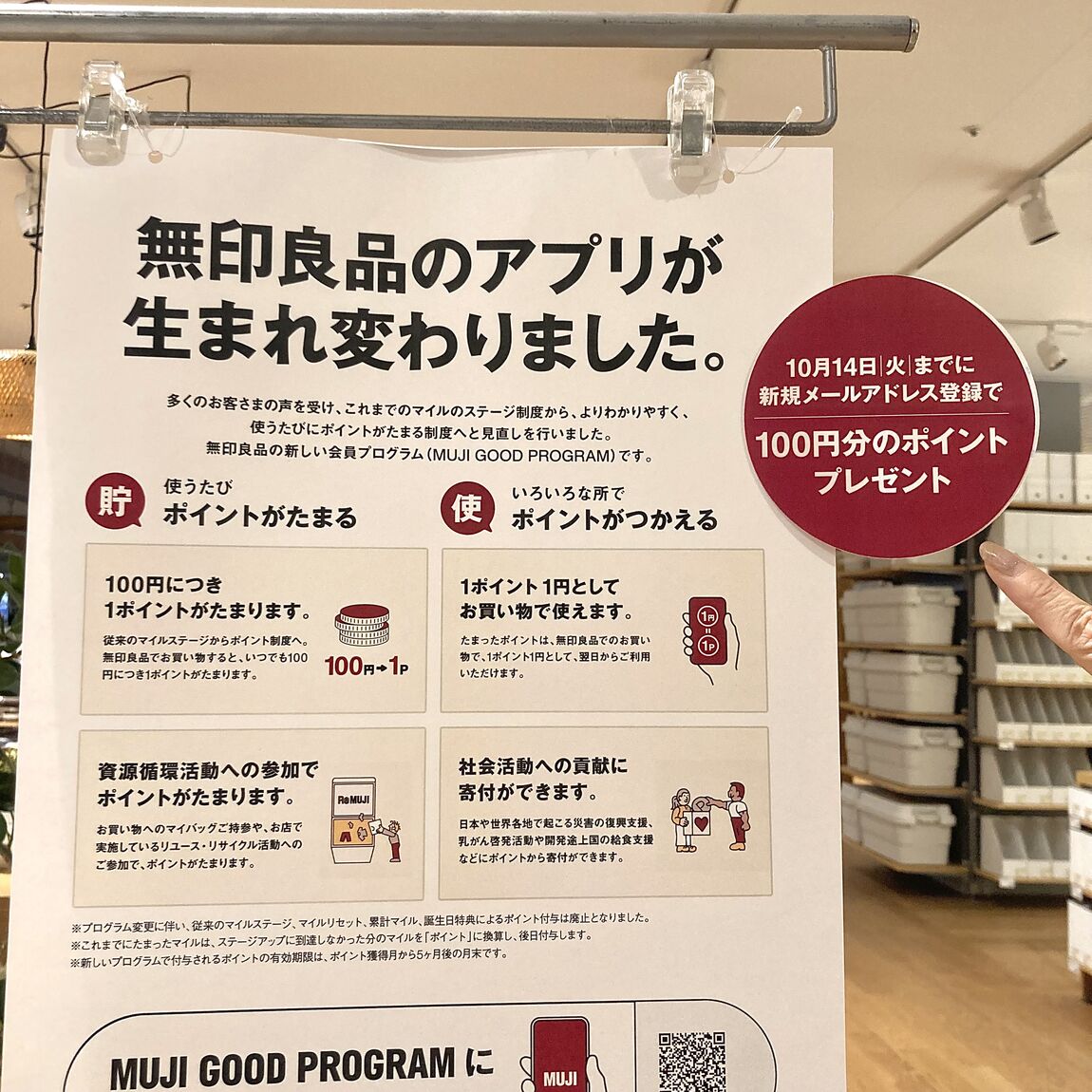 生まれ変わりました！