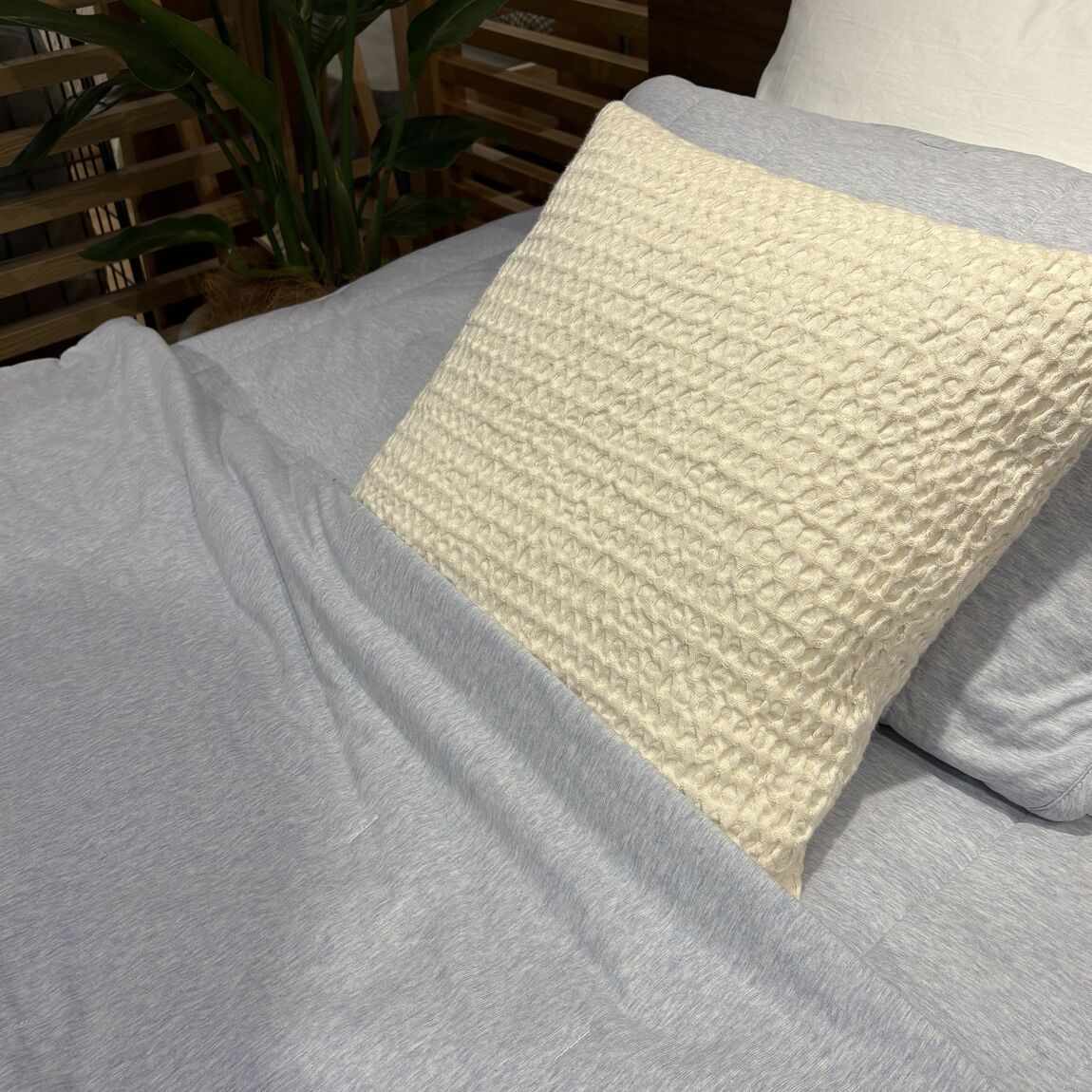 【イオン市川妙典】スタッフの家のひんやりシリーズ_XxwK0W