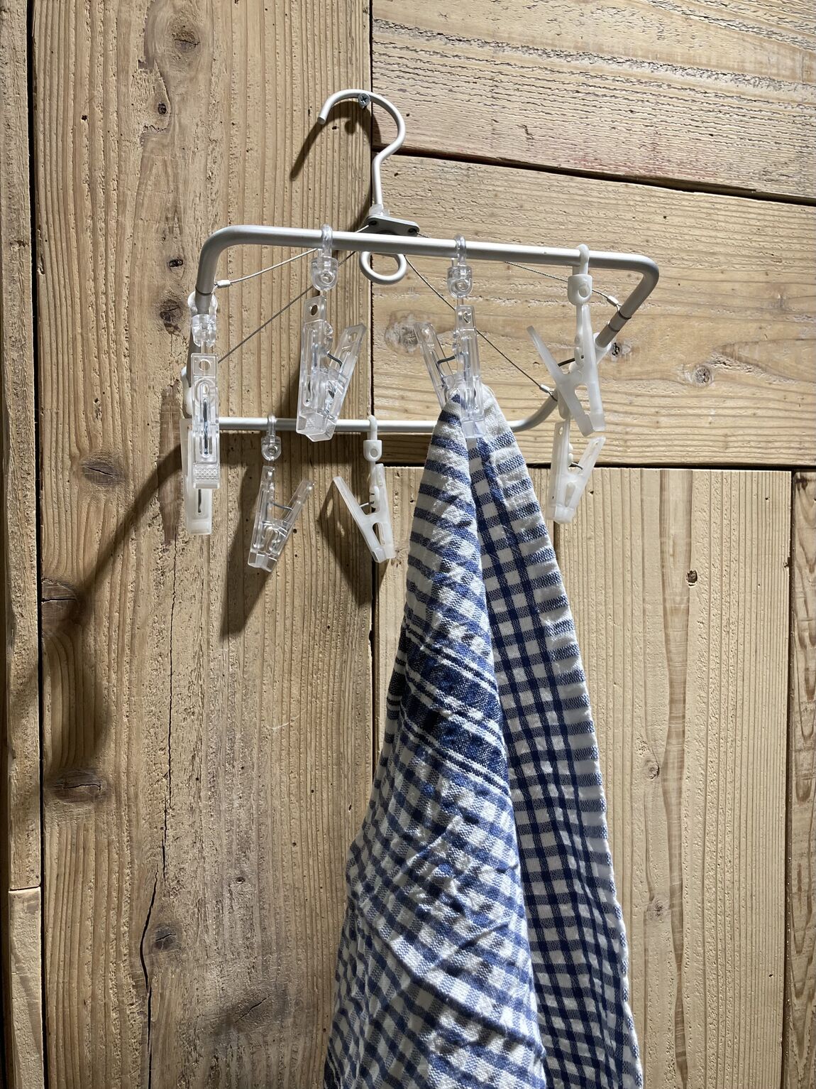 スタッフのおすすめ