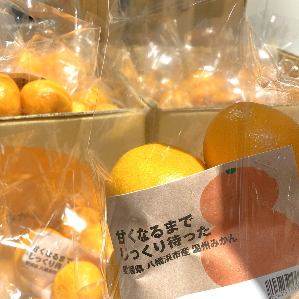 【イオンモール鈴鹿】みかん入荷しています
