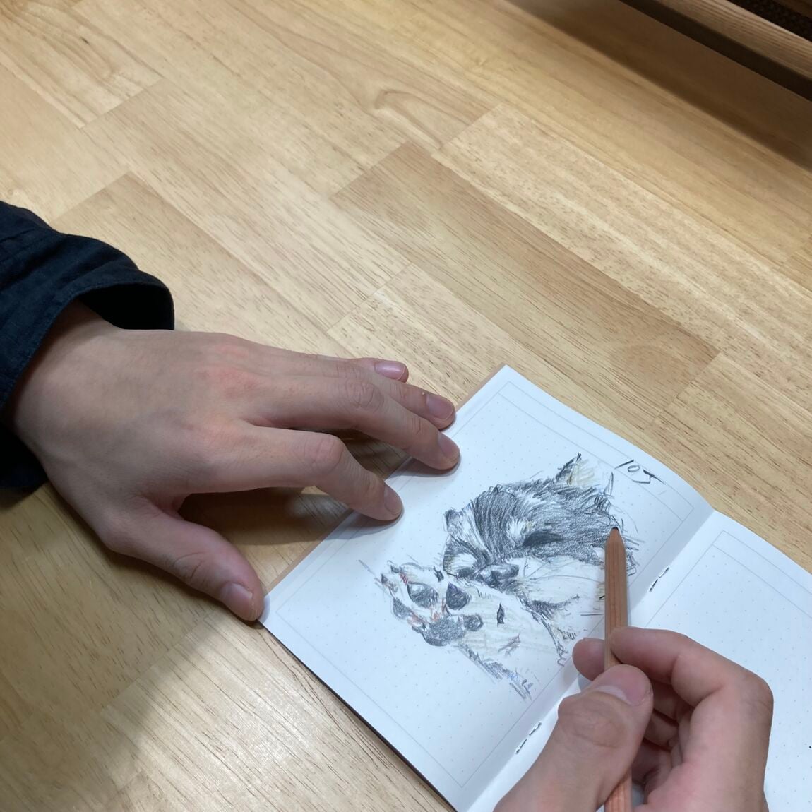 23
