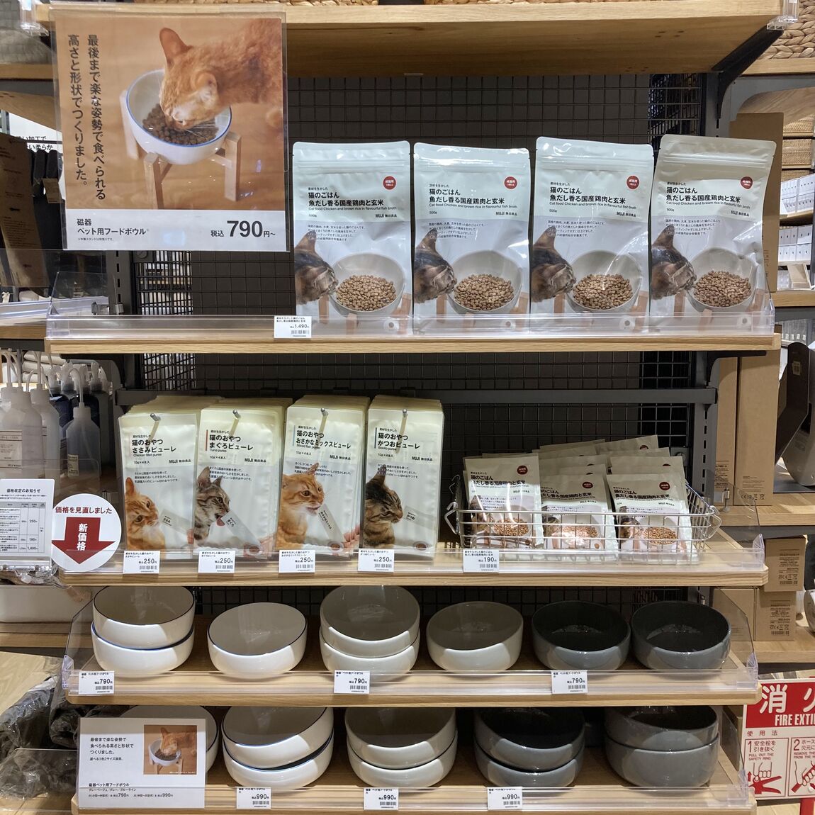 猫のご飯