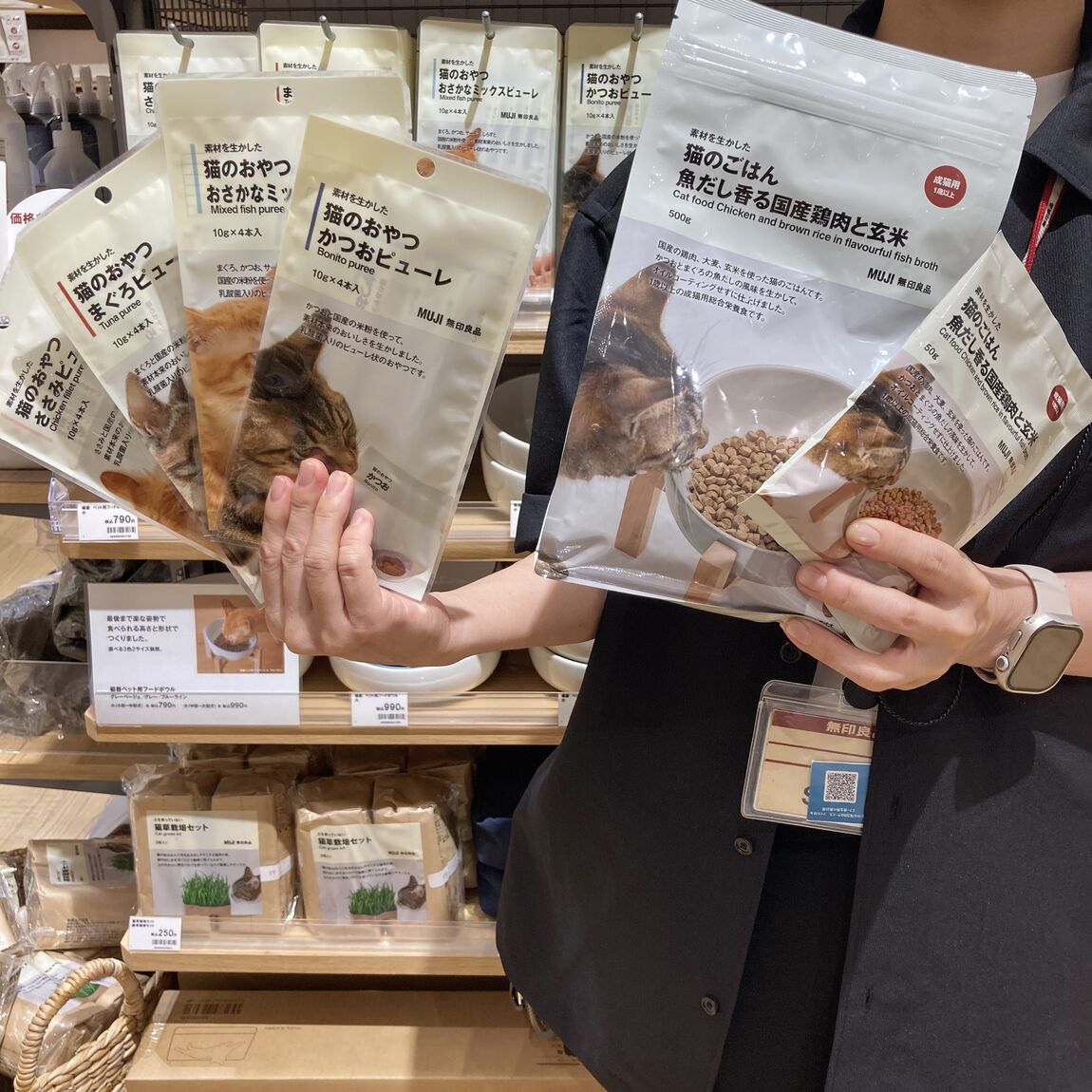 猫のご飯