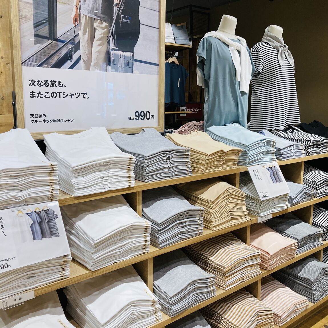 婦人フレンチTシャツ売り場の写真