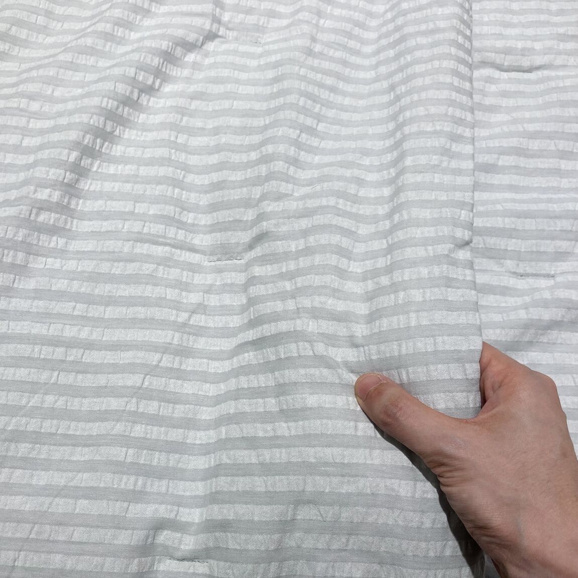 綿　サッカー織２