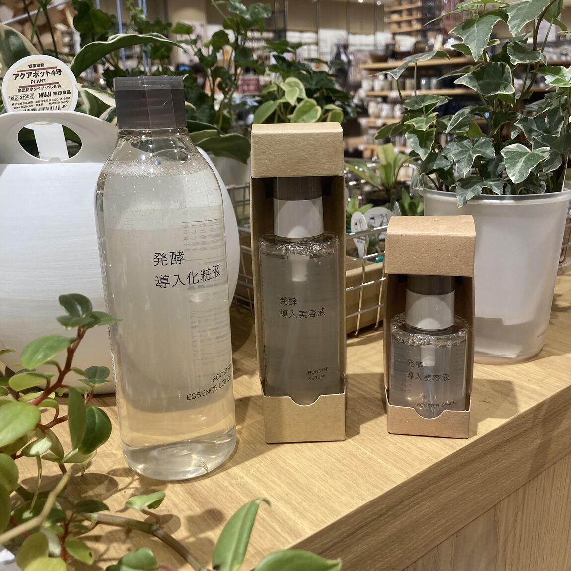 【ヨシヅヤ笠松】乾燥からお肌を守りましょう！