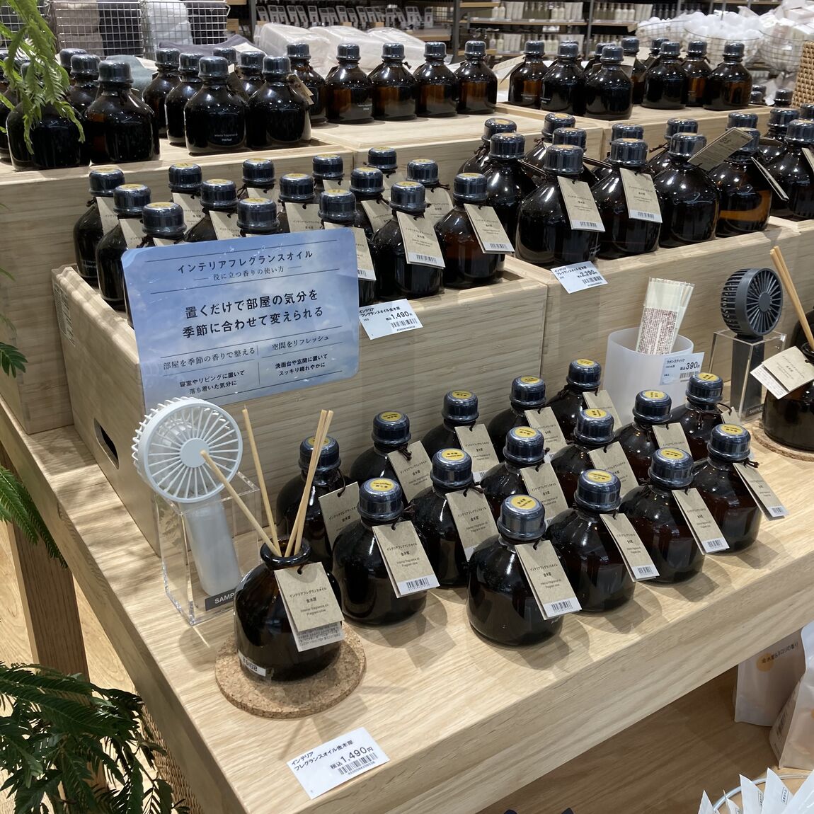【イオンモール太田】やさしく香る金木犀で、秋の気配を楽しんでみませんか？