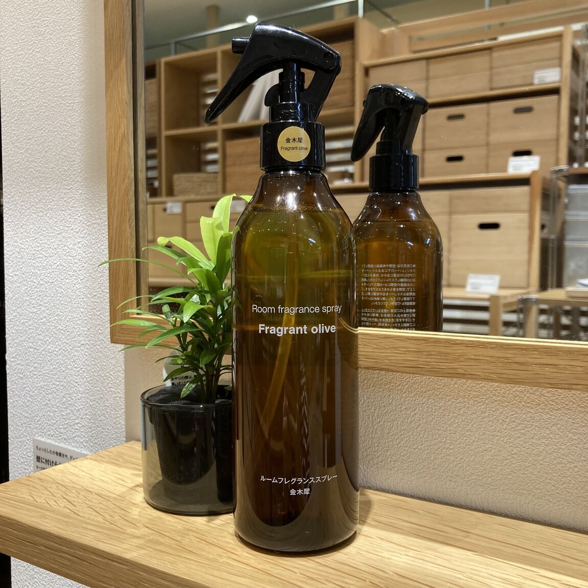 【イオンモール太田】やさしく香る金木犀で、秋の気配を楽しんでみませんか？