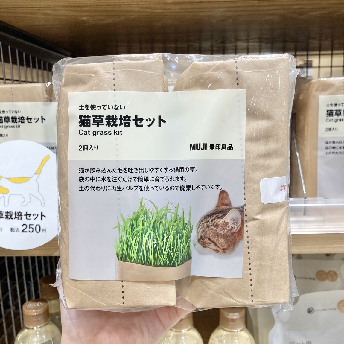 【シーナシーナ弘前】今、弘前で売れている商品TOP３～生活雑貨部門～_38f0Bg