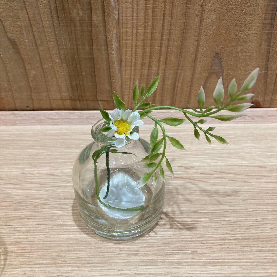 スタッフのおすすめ