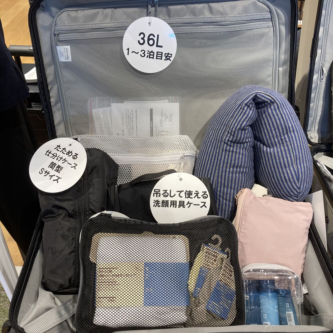 【つくば並木】【旅行】旅と行こう　_Qf4H1O