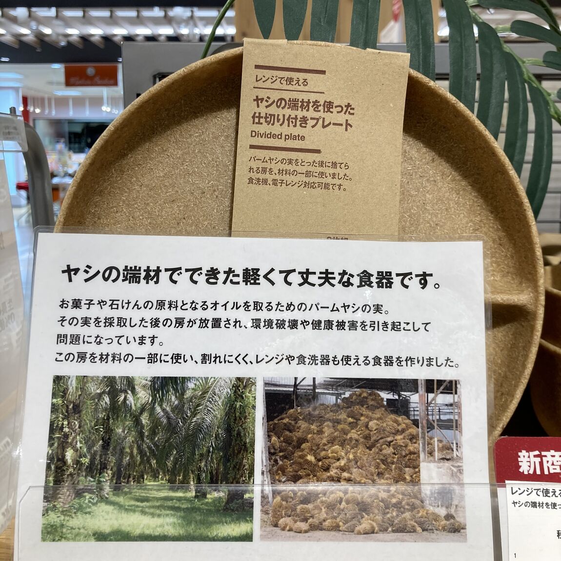 【アリオ加古川】ヤシの端材を使った新商品が入荷しております！