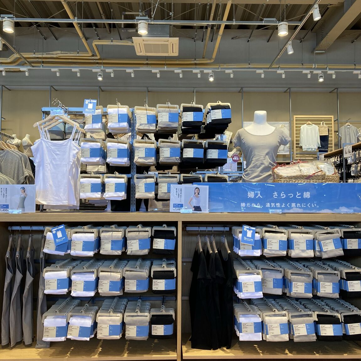 本文一枚目