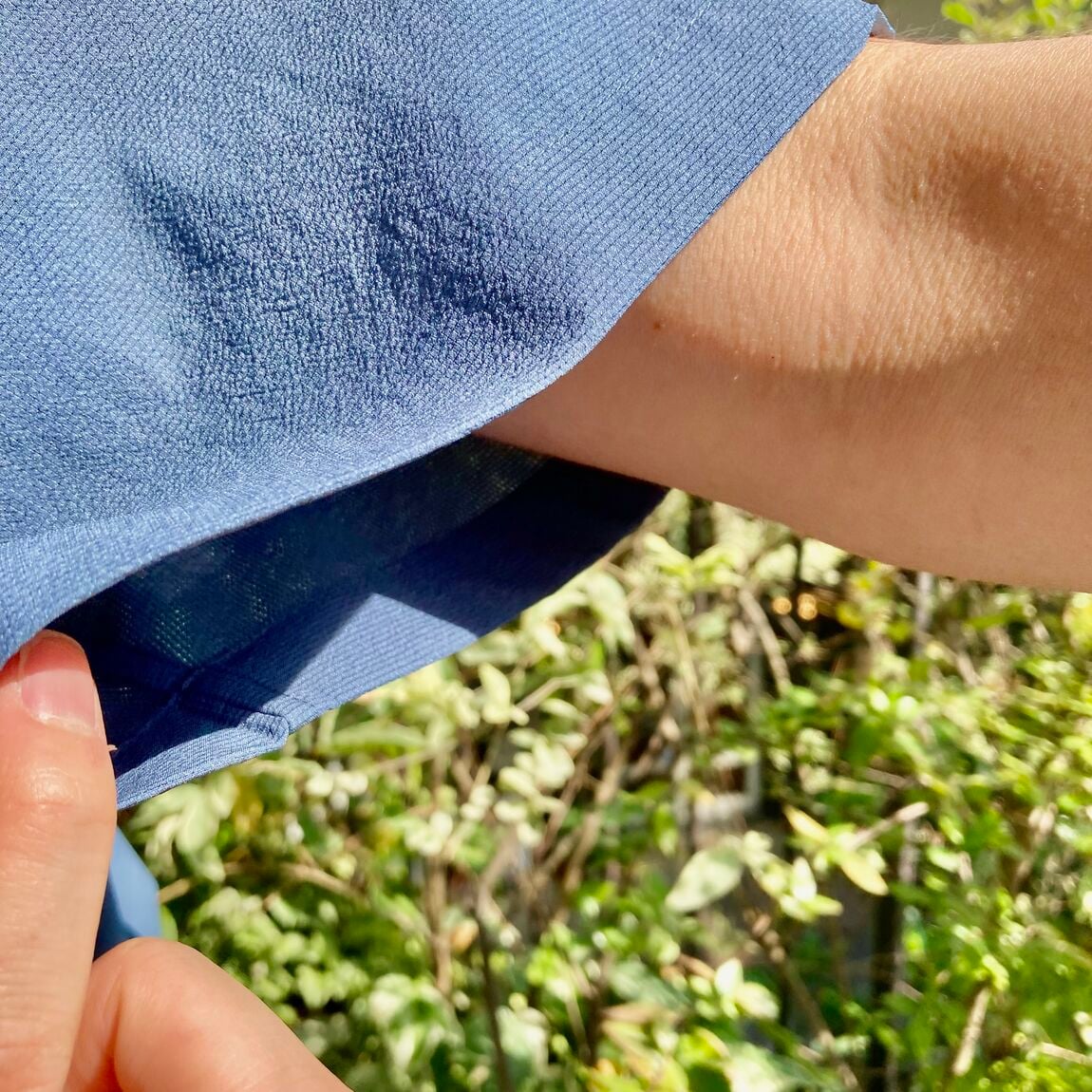 風5