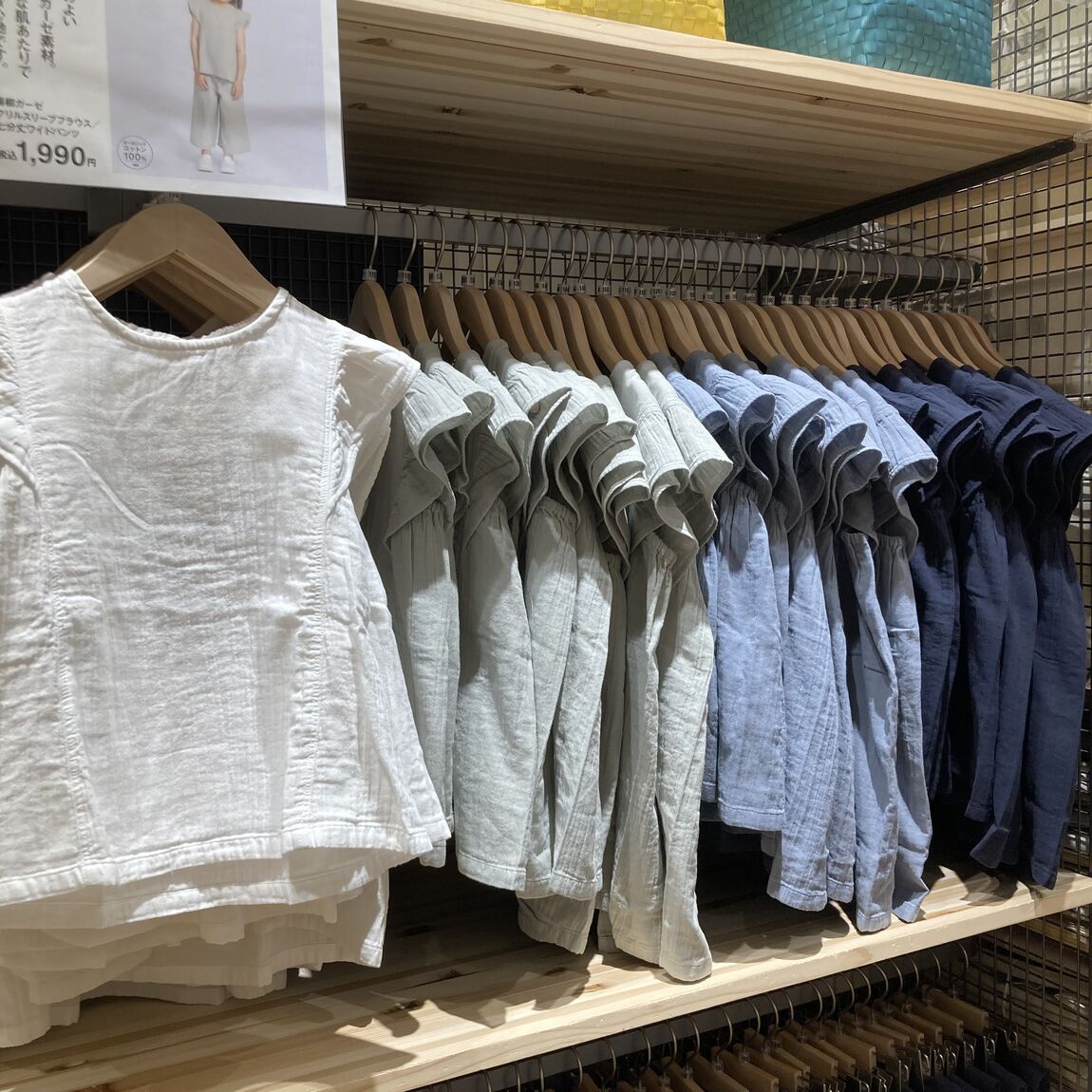 【知多】身長137㎝