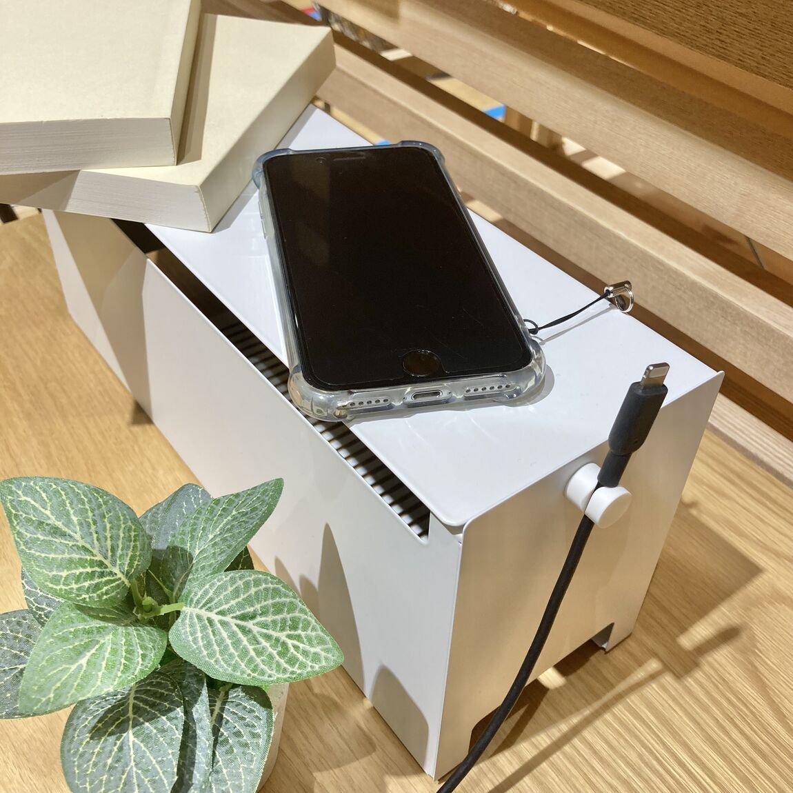 まぐ
