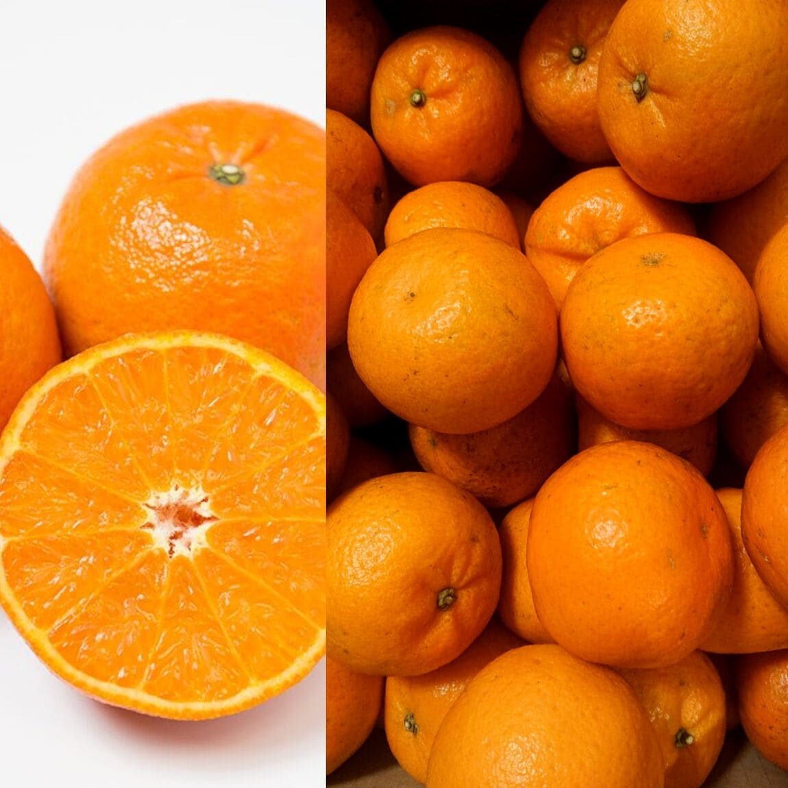 【銀座】奄美大島の果物　たんかん　