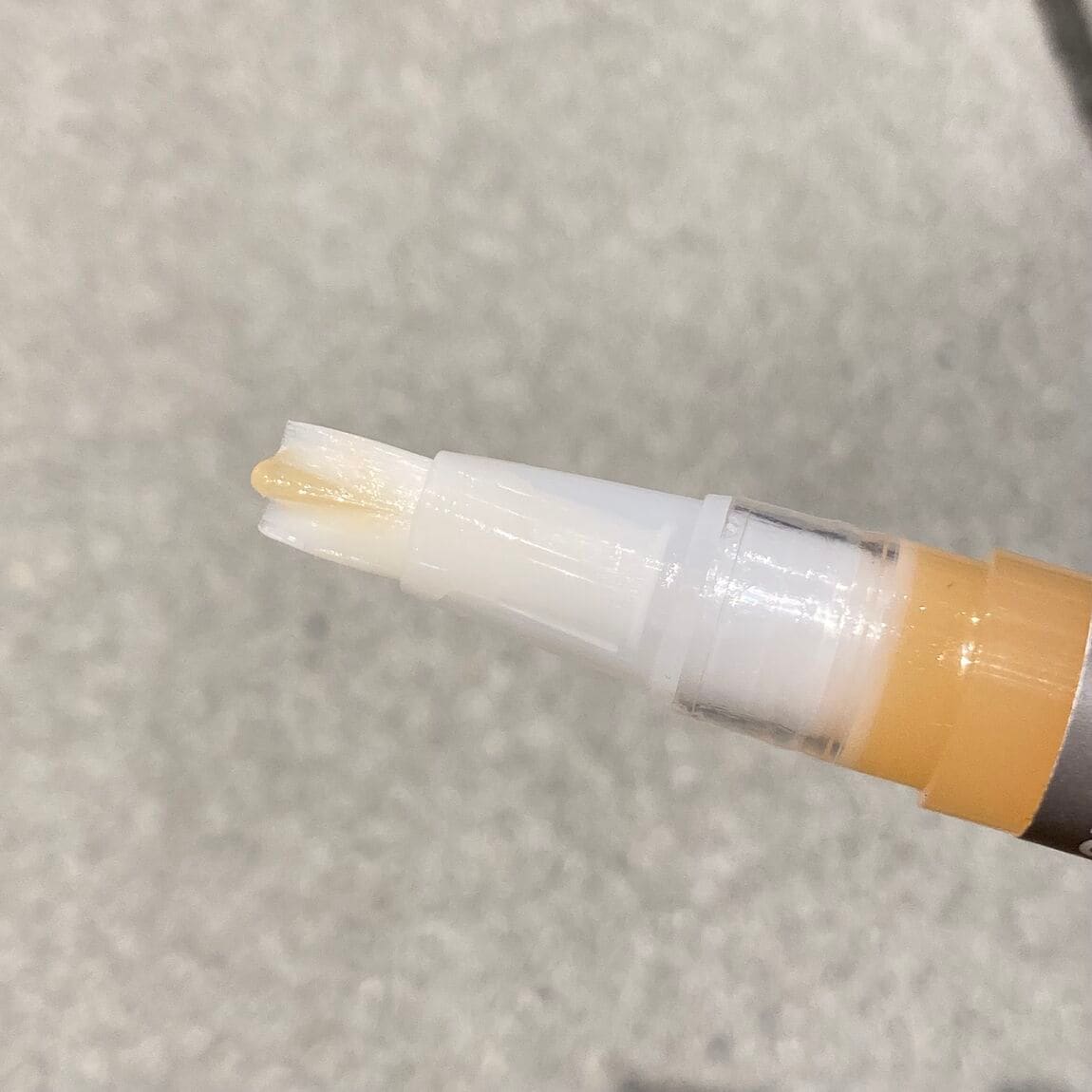 本文2枚目