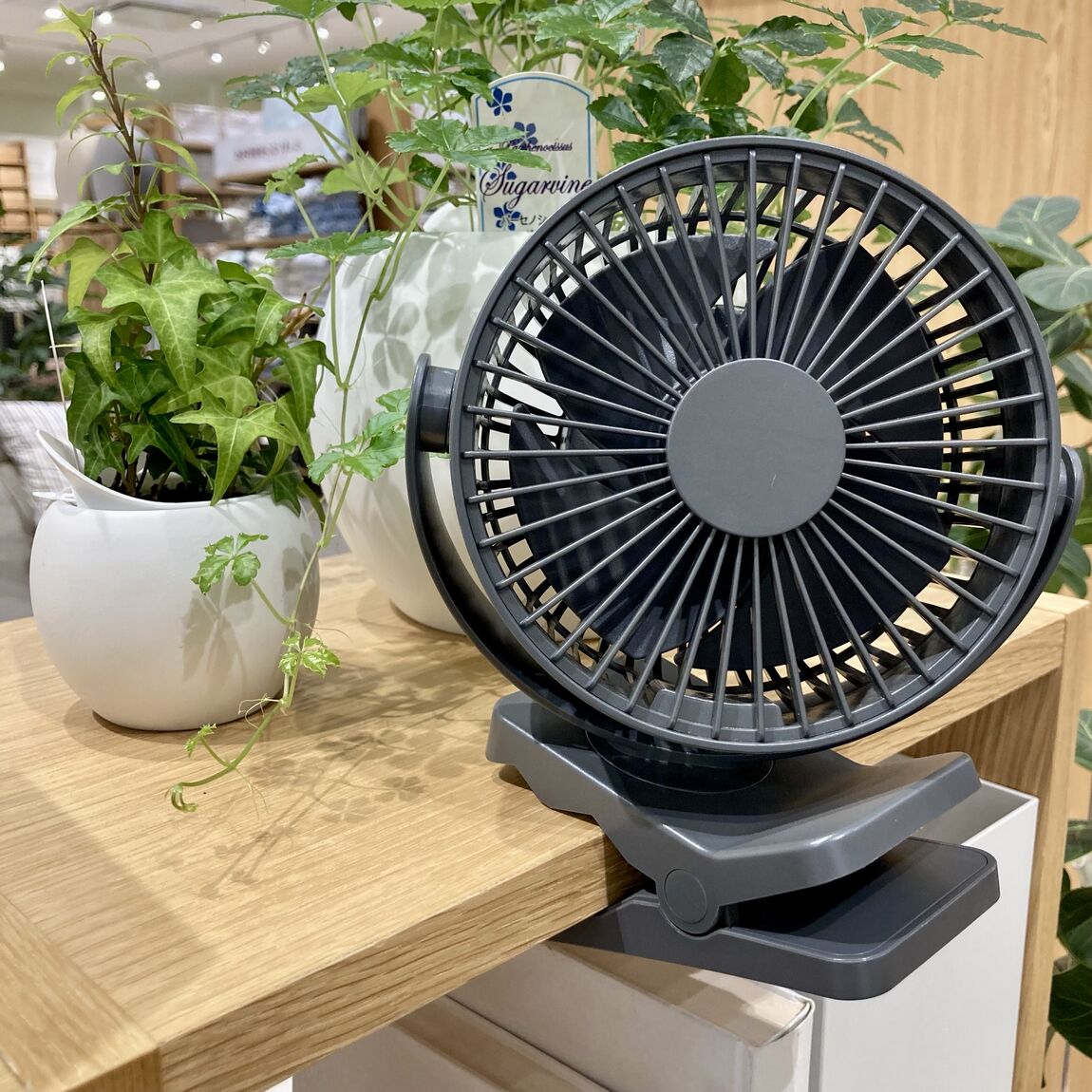 おすすめ商品のお知らせ
