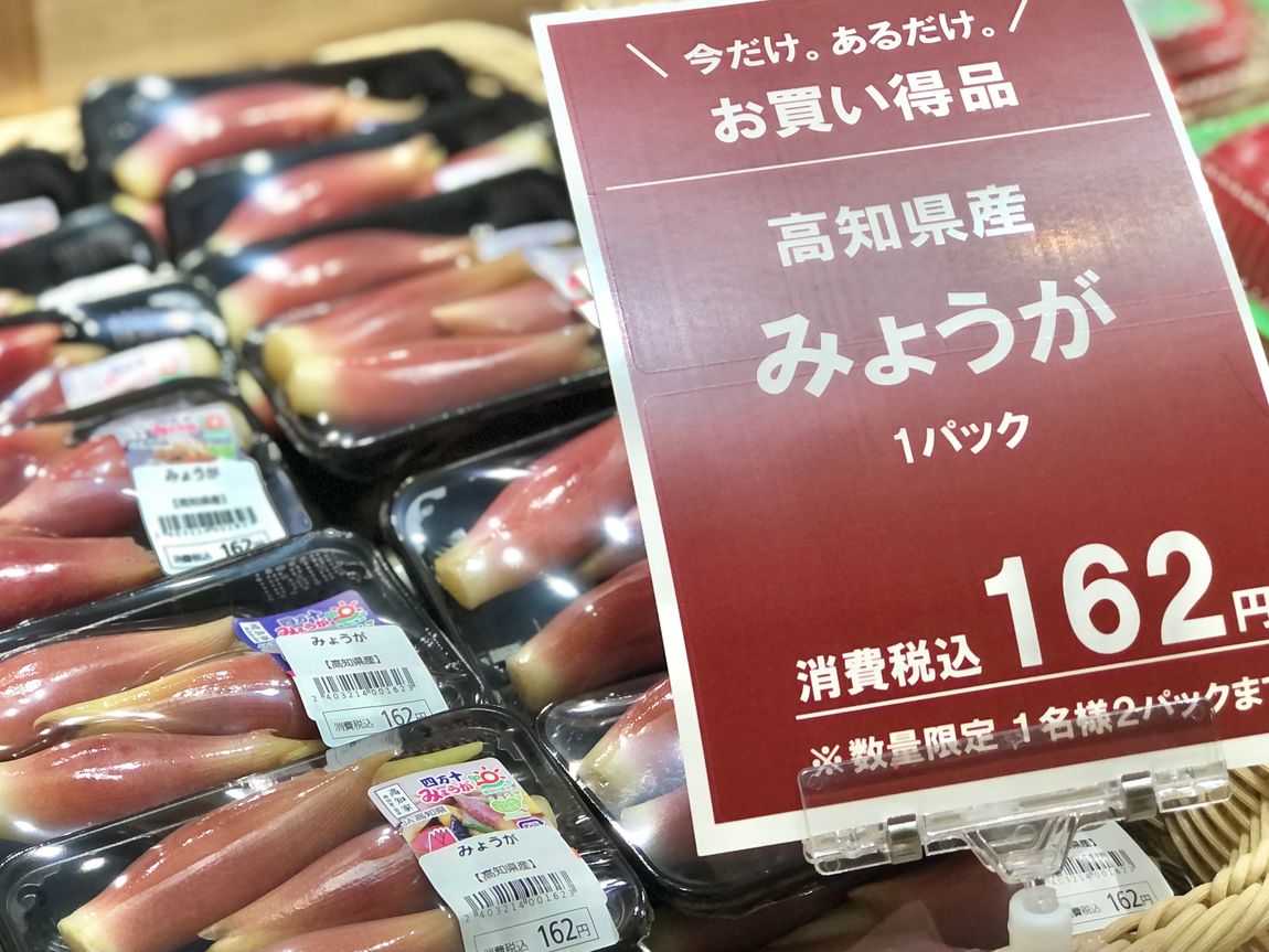 【シエスタハコダテ】本日は野菜の大特売日『野菜の日』です。｜ベジ旨だより