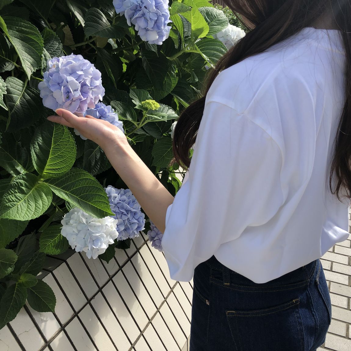 【大丸福岡天神】身長154㎝
