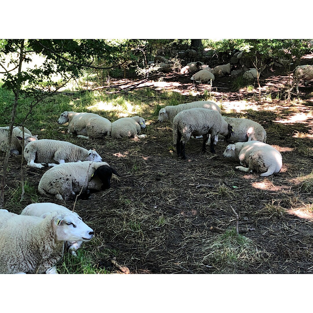 【湘南藤沢オーパ】北欧風で、ここちよく。ヒュッゲに過ごす冬。