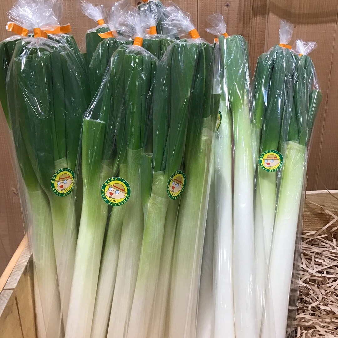 【イオンモール水戸内原】1月28-30日野菜販売のお知らせ