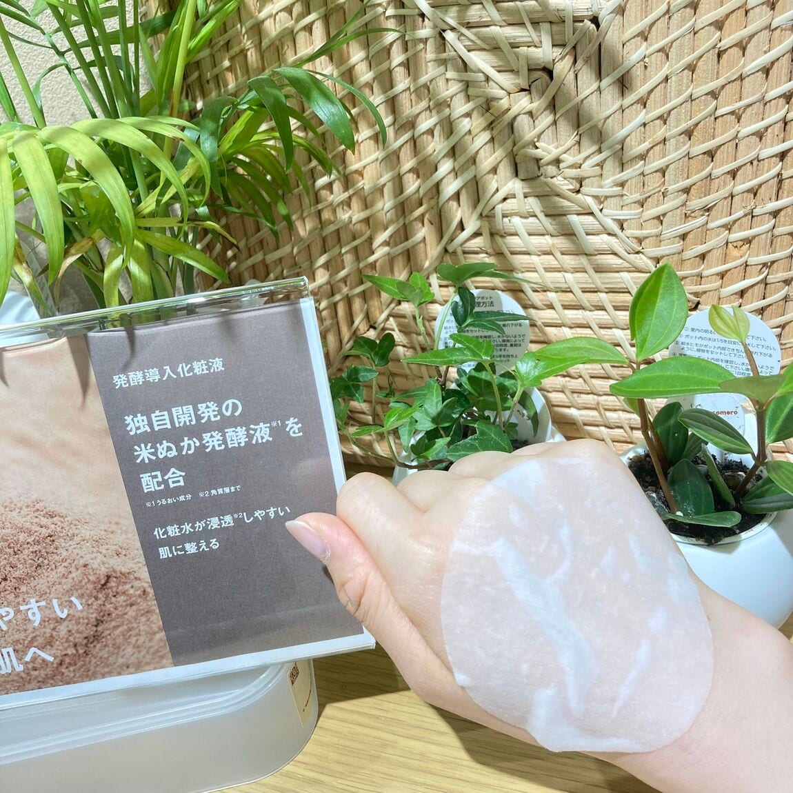 【アル・プラザ草津】発酵導入シリーズよりおすすめ