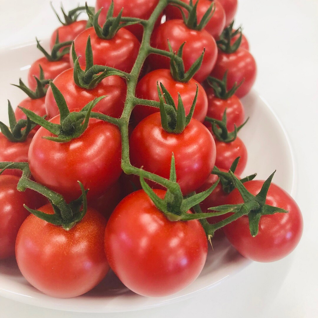 【イオンモール桑名】週末限定、ミニトマト販売のおしらせ。
