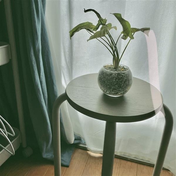 【アリオ加古川】大型家具10％offは2/2まで！#スタッフの愛用品