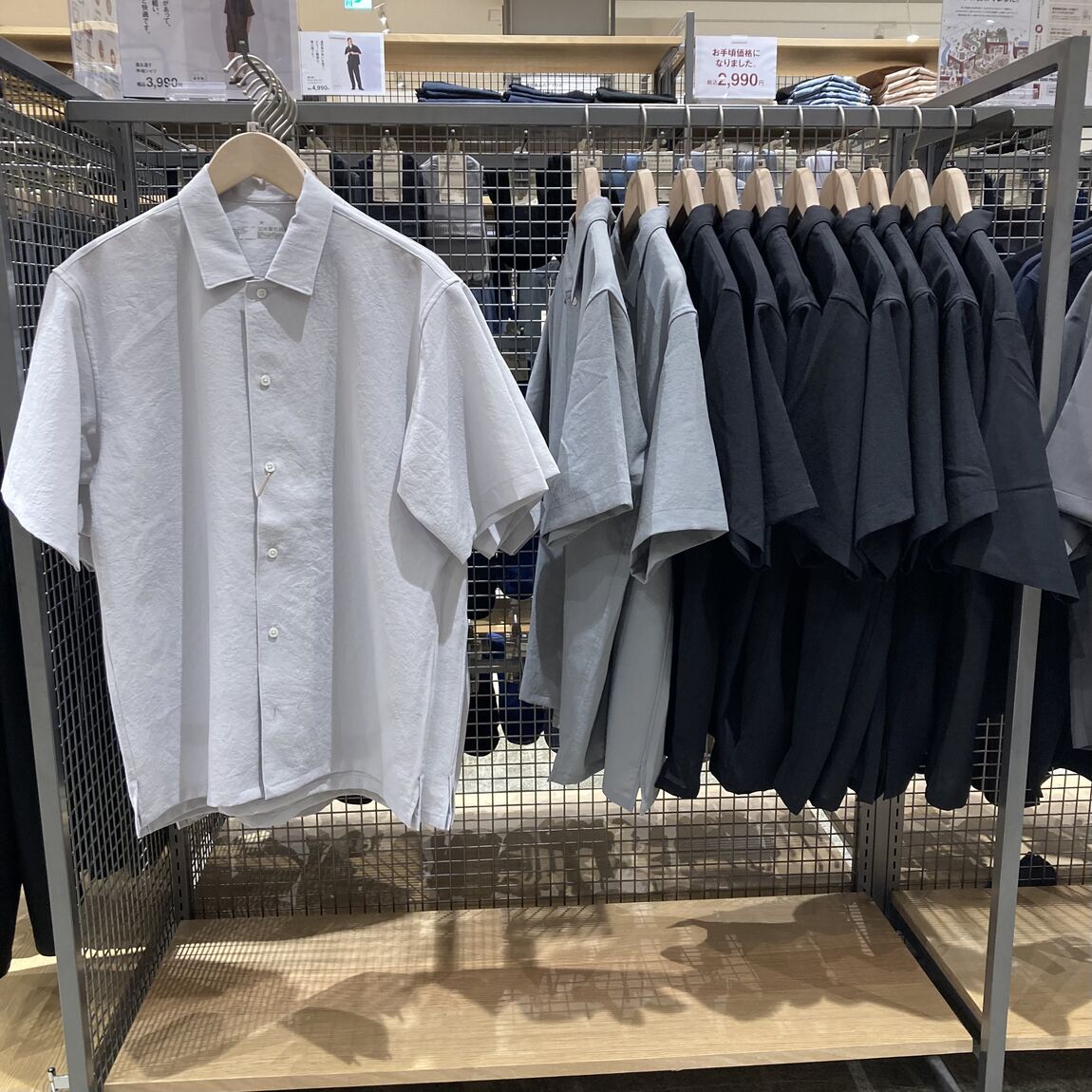 IMG_2403.jpeg