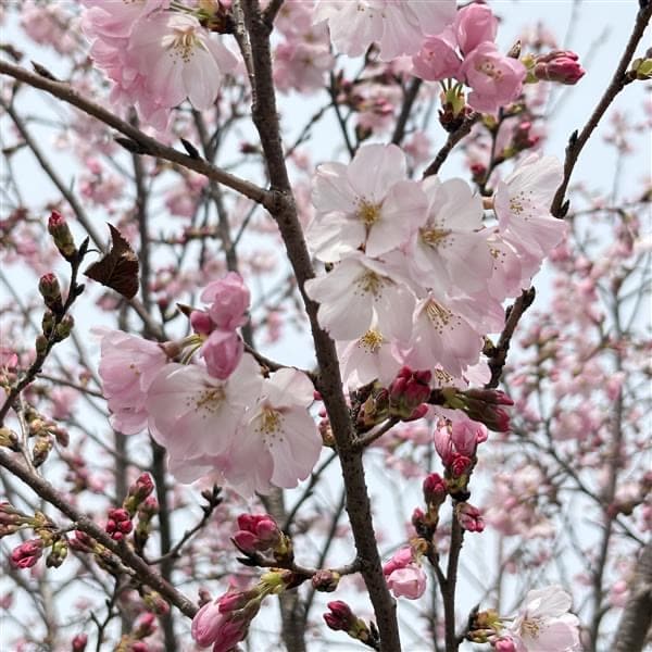 イオンモール各務原