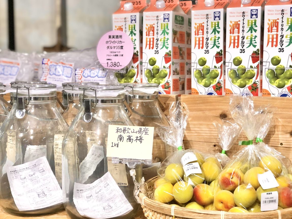 【シエスタハコダテ】梅しごと、はじめませんか。ベジ旨だより