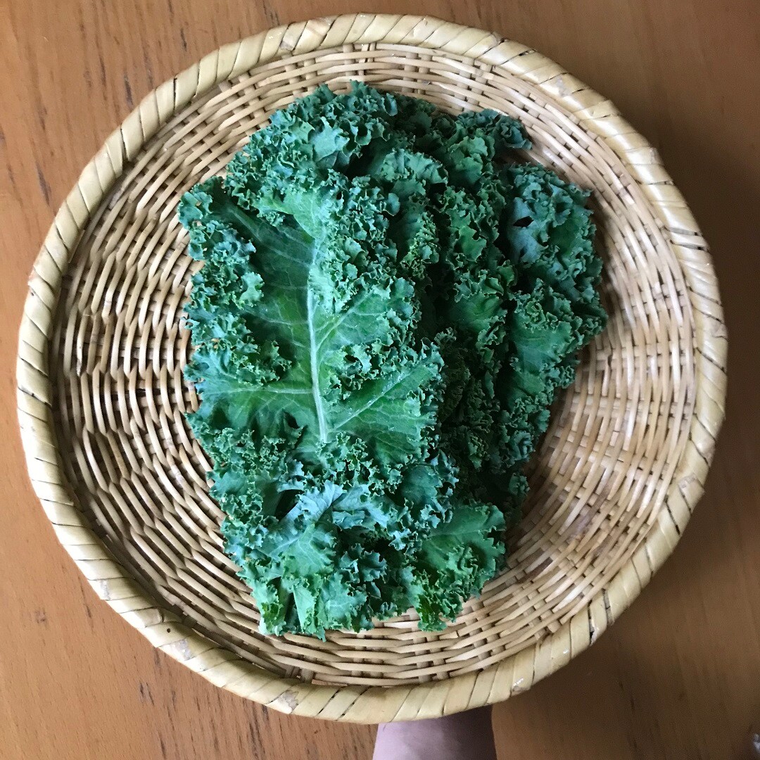 ケール