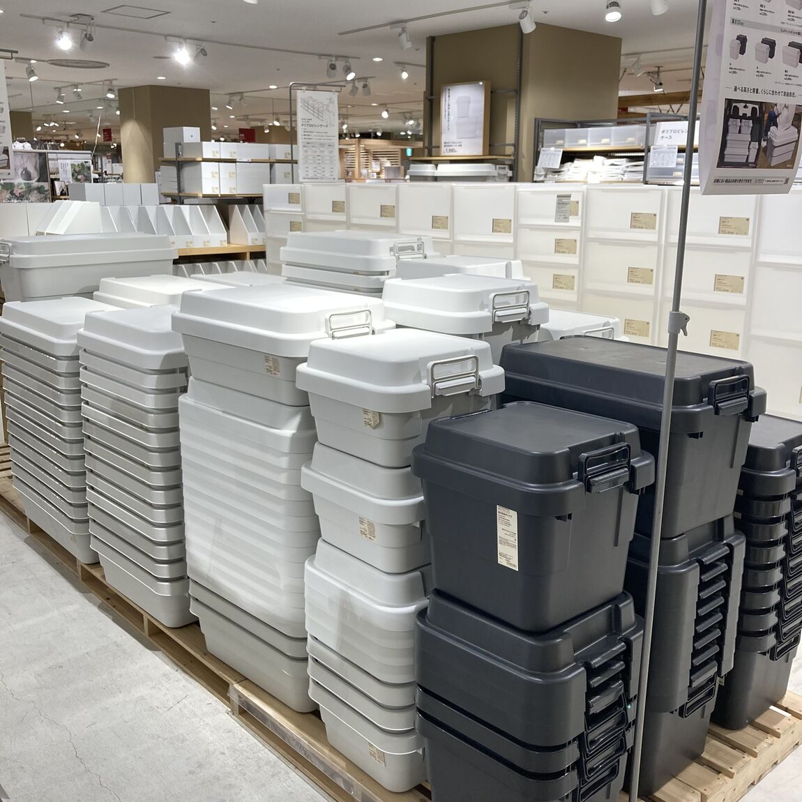 【アリオ加古川】いつもし⑥