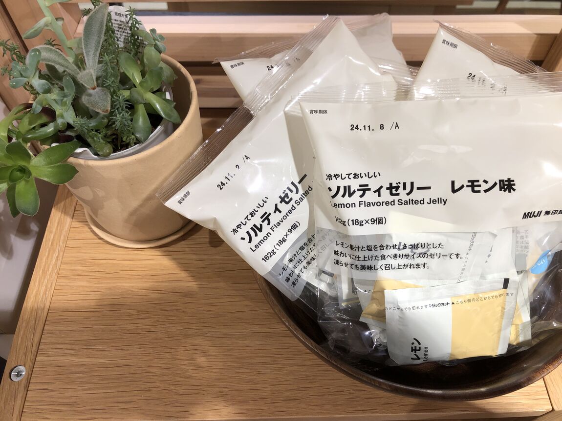 テキスト2