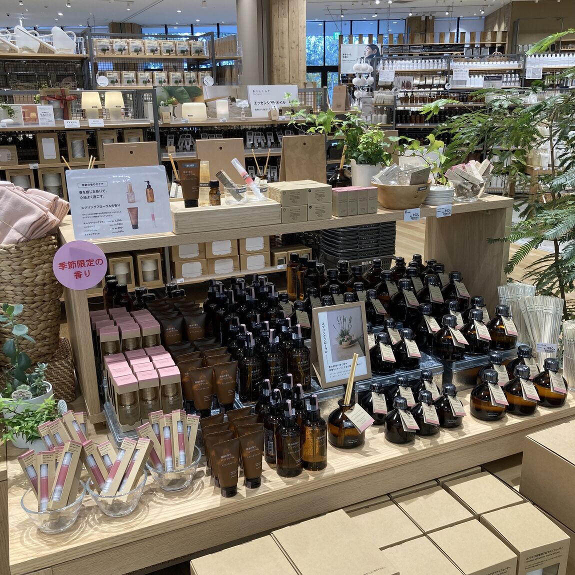 【イオンモール太田】春の香り入荷しました。