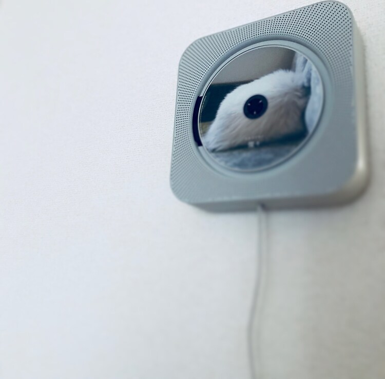 【エスパル仙台】音のあるくらし