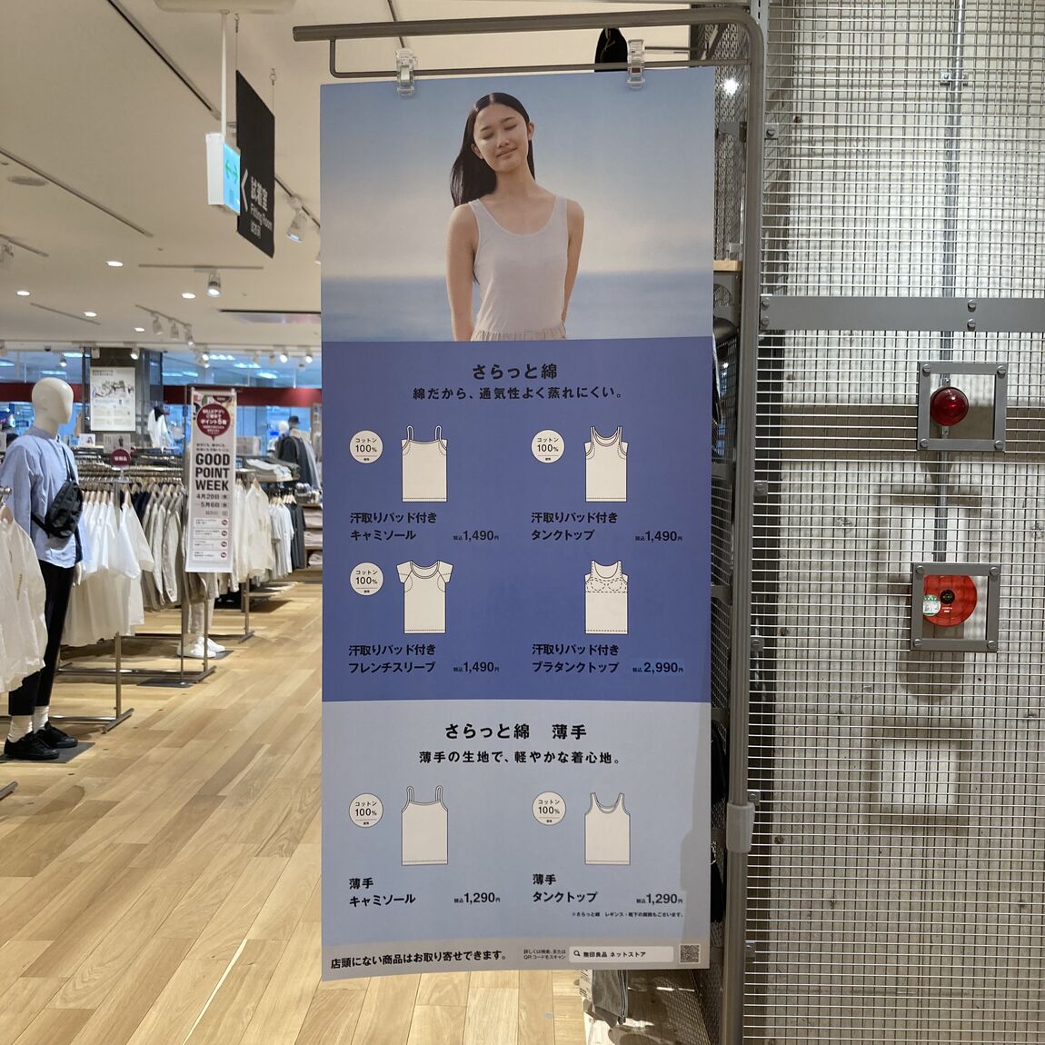 スタッフのおすすめ
