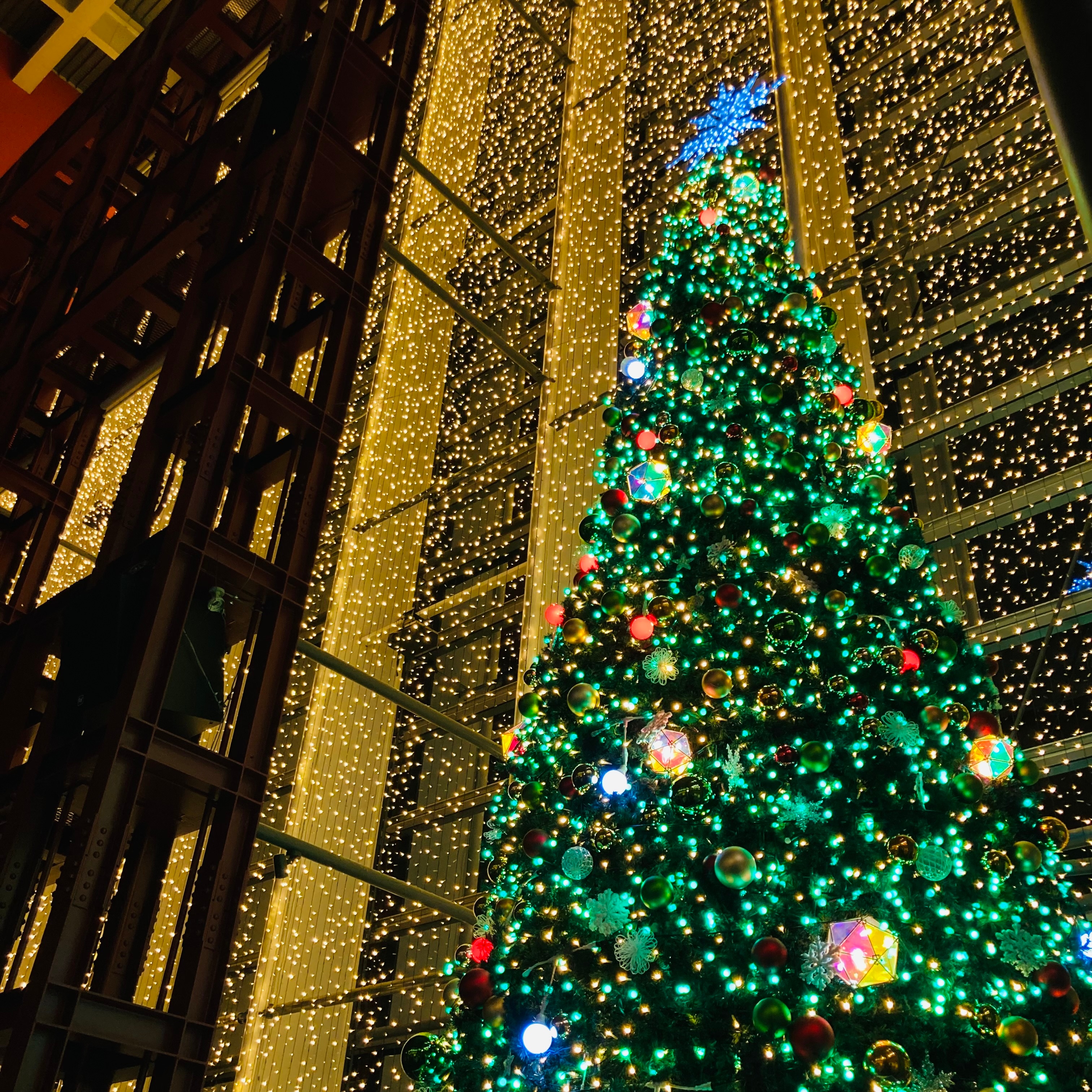 クリスマスツリー