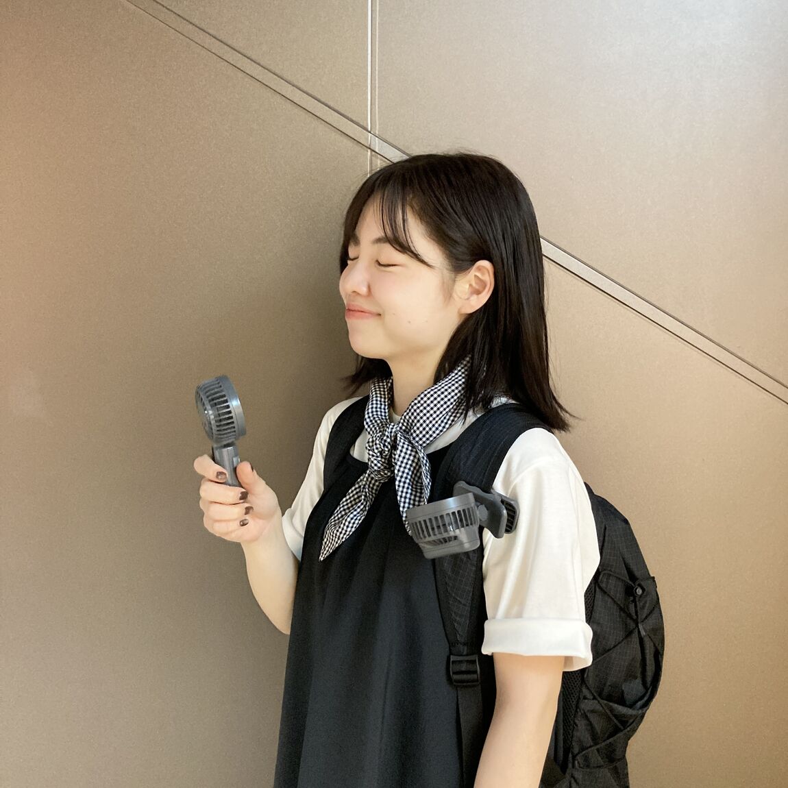 クリップファン